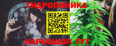трава Пугачёв