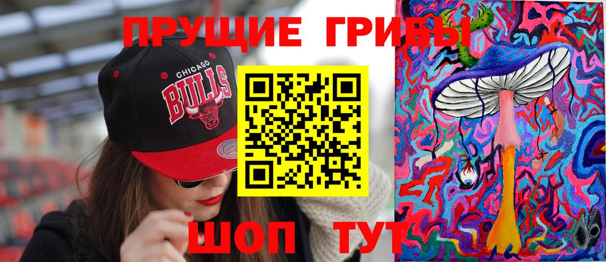 Псилоцибиновые грибы мицелий Сергиев Посад